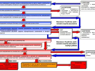 Последовательность оформления усыновления и опеки