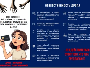Как не стать дроппером